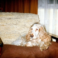 1991-bretek-a_0
