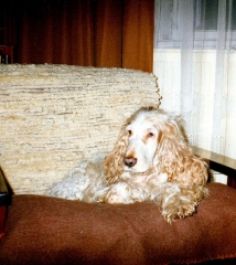 1991-bretek-a_0