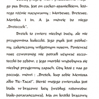 1994_bretek_1