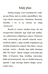 1994_bretek_1