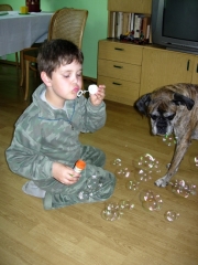 2006_05_19-017