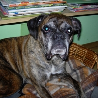 2005_05-aza-01